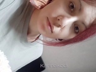 Karinakodi