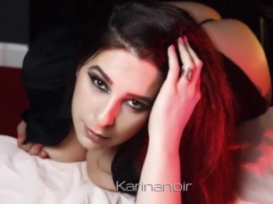 Karinanoir
