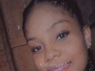 Kataleya65