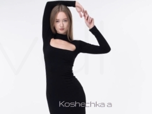 Koshechka_a