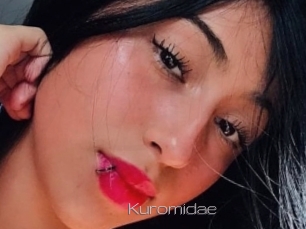 Kuromidae