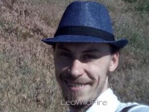 LeoWildFire