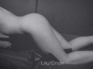 Lily_Crow