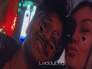 Laddybug
