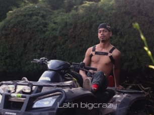 Latin_bigcrazy