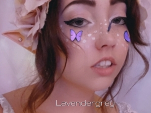 Lavendergrey