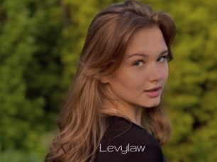 Levylaw