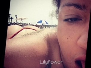 Lilyflower