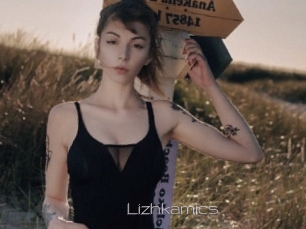Lizhkamics