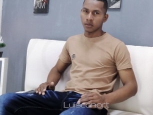 Luisconort