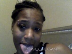 MSMICHIGAN