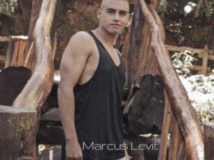 Marcus_Levit