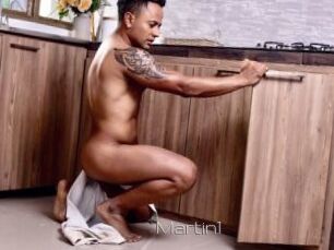 Martin1