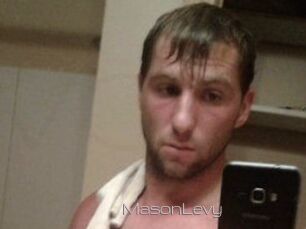 Mason_Levy