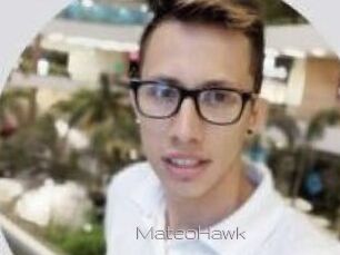 MateoHawk
