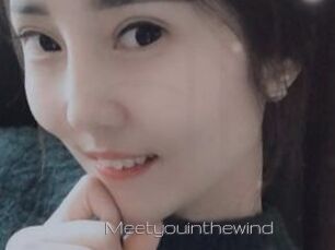 Meetyouinthewind