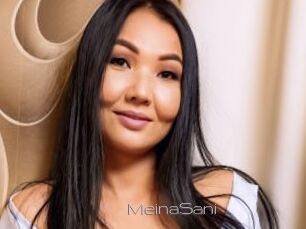 MeinaSani
