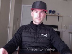 MisterShnake