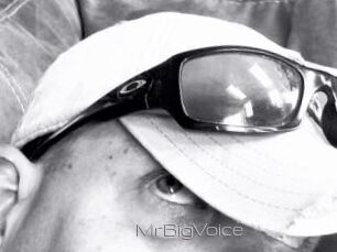 MrBigVoice