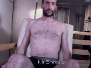 MrShnake