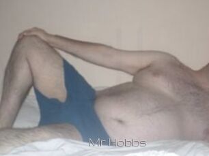 Mr_Hobbs