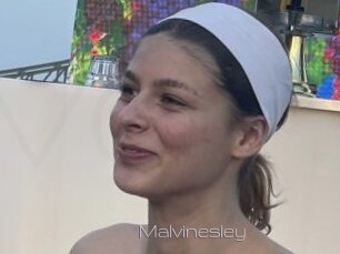Malvinesley
