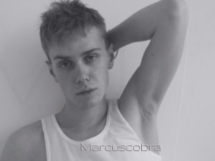 marcuscobra Vidéo de lesbienne