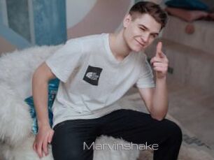 Marvinshake