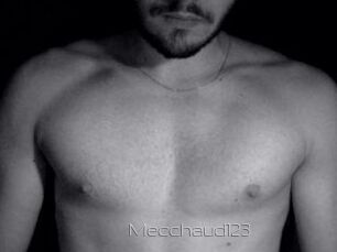 Mecchaud123