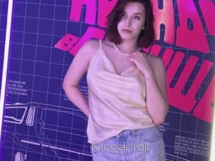 Meganfelt