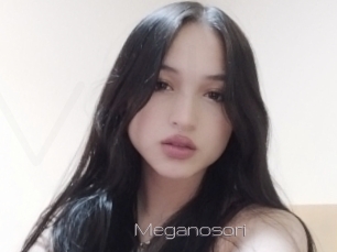 Meganosori