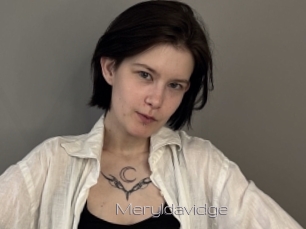 Meryldavidge