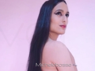 Michelebosse