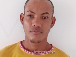 Mieldefresa