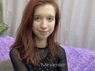 Minamiler