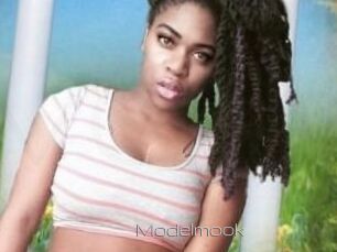 Modelmook