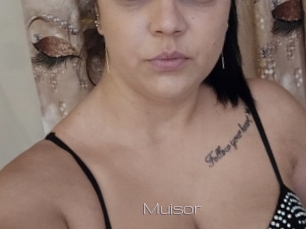 Muisor