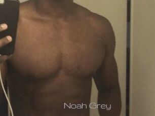 Noah_Grey
