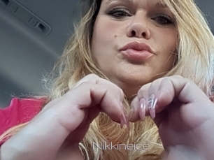 Nikkineice