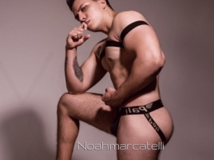 noahmarcatelli Vidéo de lesbienne
