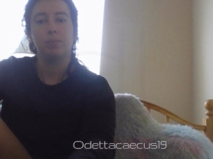 Odettacaecus19