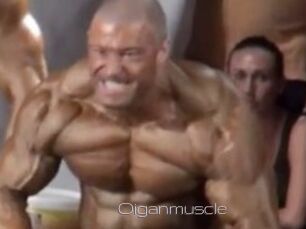 Oigan_muscle