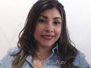 PAMELA_zv