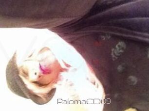 PalomaCD09