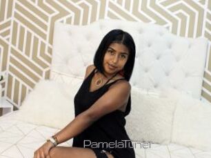 PamelaTuner