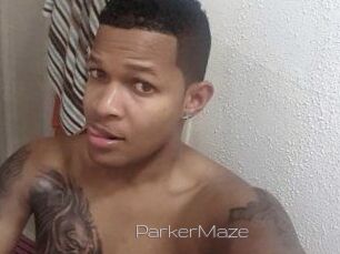 Parker_Maze