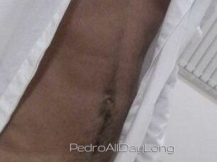 PedroAllDayLong