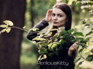 Perilous_Kitty