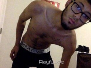 PlayfulJoe