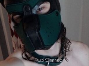 Pup_Samson